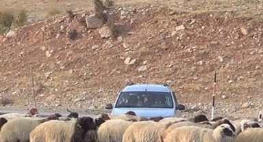 Karayazı Kaymakamlığı'ndan açıklama! 'Tüm uyarılara rağmen devam etti!'