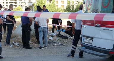 Kayıp diş hekimi yol kenarında ölü bulundu