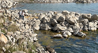 Krater Gölü'nde yüzerken kameraya yakalandılar