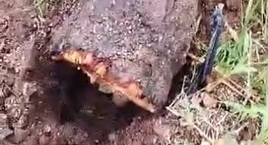 Kuvvetli fırtına ağaçları yerinden söktü