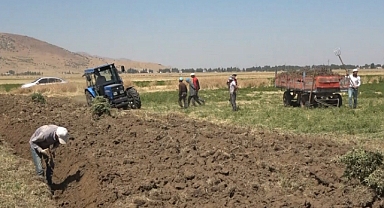 Meyan kökü bölgenin geçim kaynağı oldu