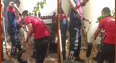 Odunlukta yılan paniği!