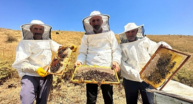 Son 3 yılda bal rekoltesi yüzde 100 düştü