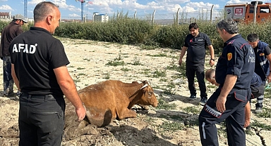 Su göletine düştü, ekipler seferber oldu!