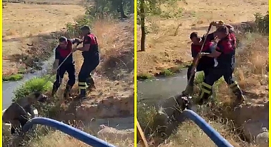Su kuyusuna düştü, imdadına itfaiye yetişti
