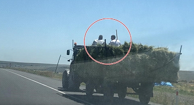 Traktör römorkunda tehlikeli yolculuk