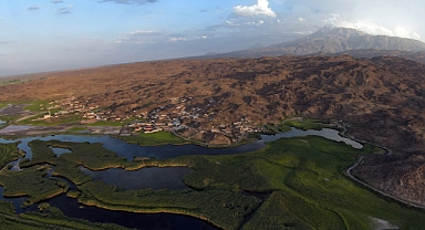 Yaban hayvanları sulak alanlara göç ediyor
