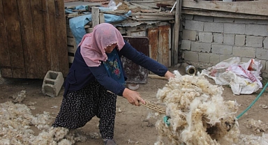 Yaylalarda koyun kırkma zamanı