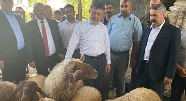 Yeniden hayvancılık yapmaya başladı