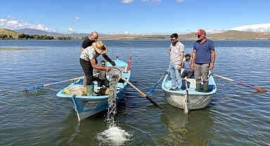 150 bin aynalı sazan balığı yavrusu salındı