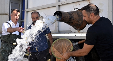 3 milyon 500 bin yavru suya bırakıldı