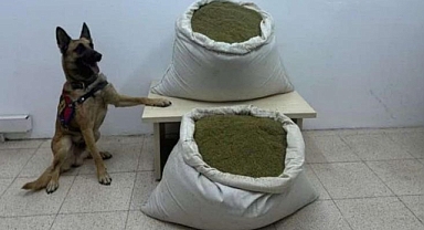 6 arazide uyuşturucu madde alarmı!