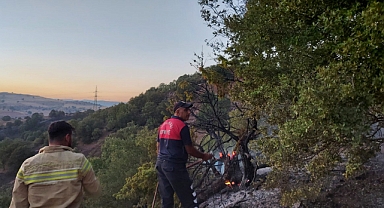 Anız yakmak isterken ormanı yaktı   