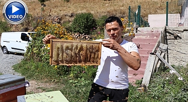 Arılara yazmayı öğreten adam