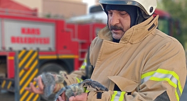 Asansör boşluğunda yangın çıktı! Yavruları itfaiye kurtardı!