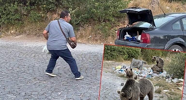 Ayıların saldırısına aldırış etmediler! Kamera ile görüntü aldılar!