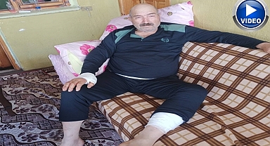 Ayının saldırısına uğradı! Dehşet anlarını anlattı!