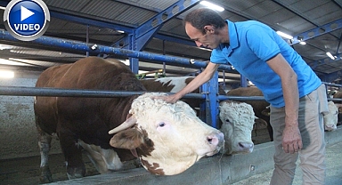Babasından kalan ahırı modern çiftliğe çevirdi