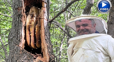 'Bal avcıları' takipte