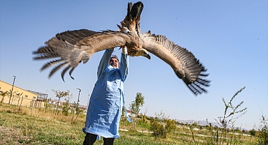 Bitkin halde bulunup tedavi altına alındı