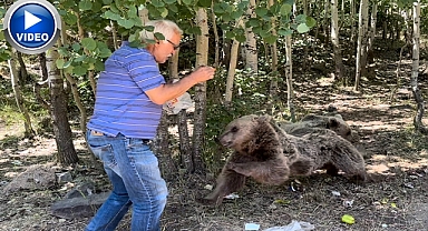 Bozayıları elle 'beslemeyin' uyarısı