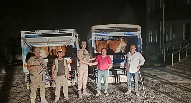 Çaldığı hayvanı satarken yakalandı