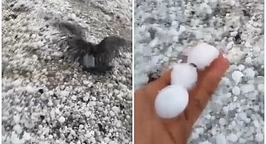 Ceviz büyüklüğünde dolu yağdı! Çok sayıda kuş telef oldu