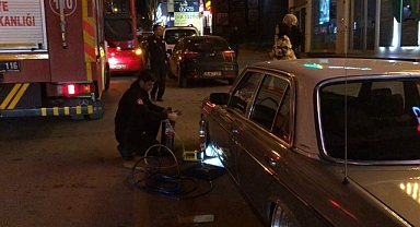 Erzurum'da kedi operasyonu   