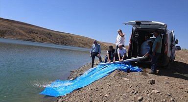 Göletlere 900 bin sazan balığı yavrusu bırakıldı