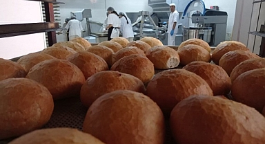 Günde 6 bin adet ekmek üretiyorlar