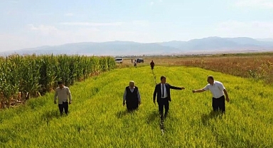Hasat öncesi son bakımlar yapıldı