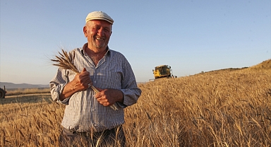 Hububatta rekolte beklentisi yüksek!