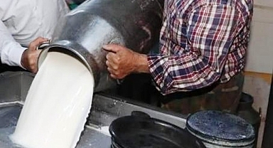 İnek sütü miktarı yüzde 0,9 azaldı