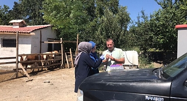 İthal hayvanların kontrolleri yapılıyor