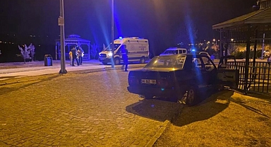 Kamelyaya çarpan otomobil dehşet saçtı