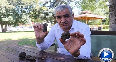 Mantar toplarken buldu! Gramına 200 dolar verdiler!