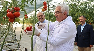 Milletvekili Öz’den domates hasadı