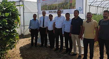 Oltu'da devlet destekli seralar yüz güldürüyor
