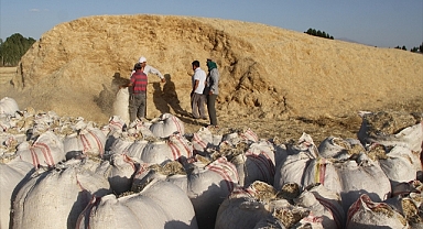Saman satışları başladı!
