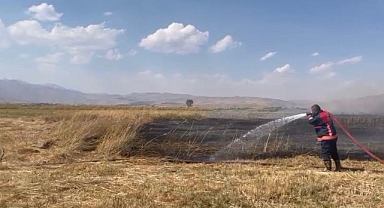 Sazlıkta korkutan yangın! Birçok kuş türüne ev sahipliği yapıyordu