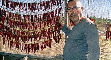 Tarlalarında yetiştirtiliyorlar, kurutarak satışa sunuyor