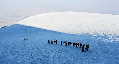 Tehlike kapıda! Küresel ısınmanın etkisiyle küçülüyorlar