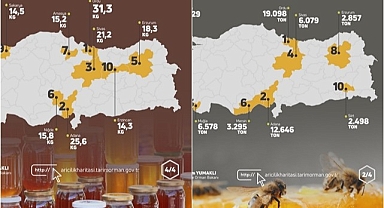 Türkiye Arıcılık haritası güncelledi! Erzurum ilk onda!