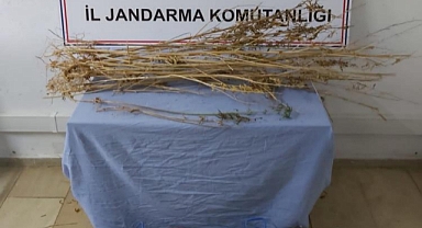 Uyuşturucu ile mücadele hız kesmiyor