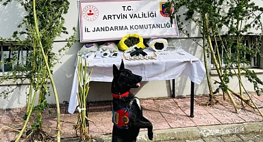 Uyuşturucu tacirlerine göz açtırılmadı