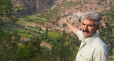 Yaban domuzlarına brandalı çözüm