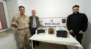 Yasa dışı avda ele geçirildiler!
