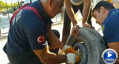 Yavrusu kurtarılana kadar başında bekledi