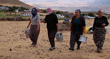 Yayladaki kadınların süt sağım mesaisi
