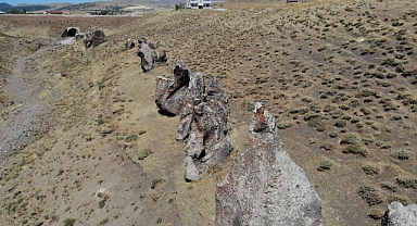 Yüzlerce yıllık 'Nemrut Develeri' bir bir yok oluyor 